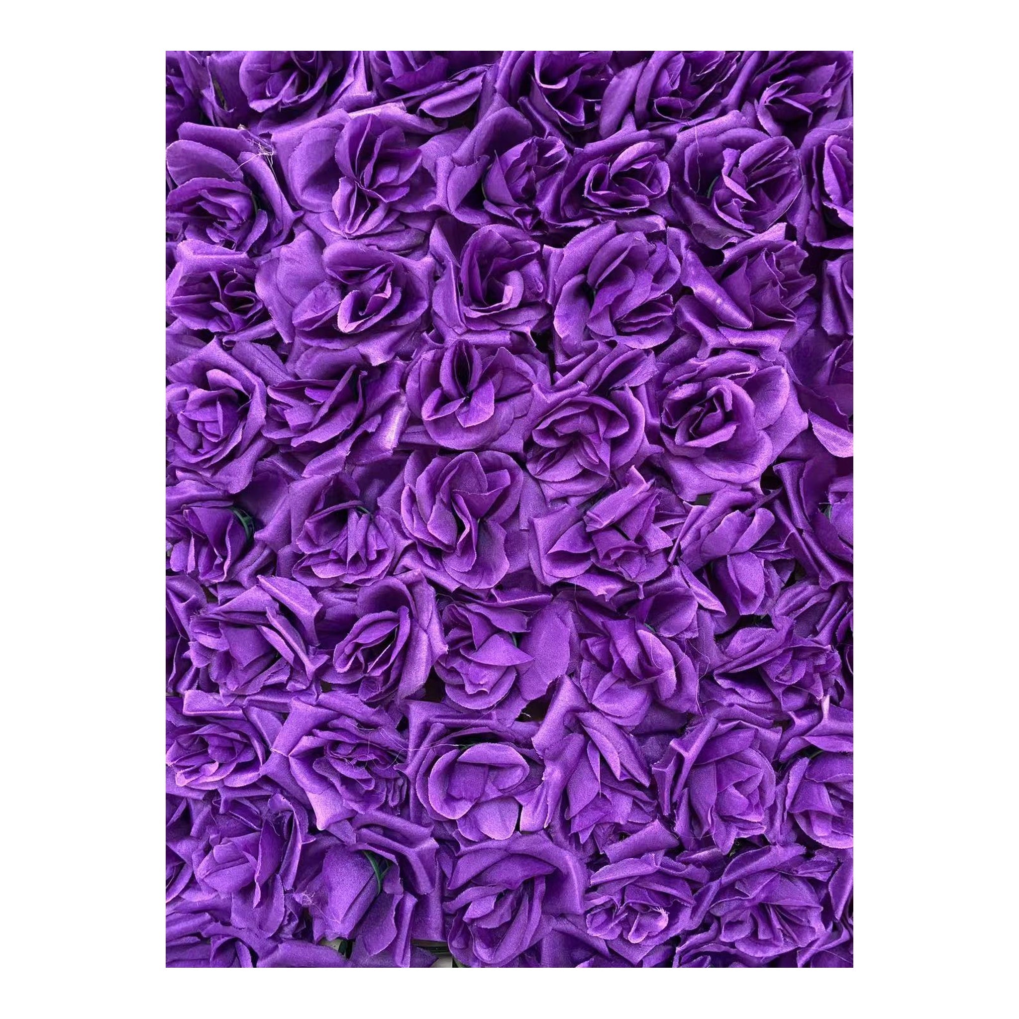 (c) Purple Rose Flower Wall Grid